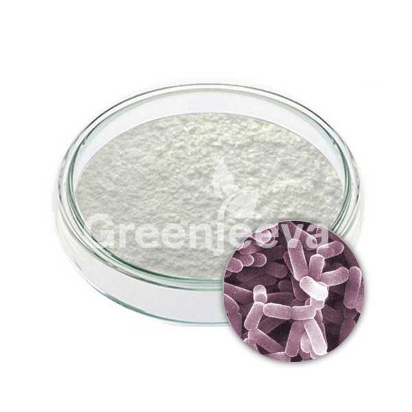 Bifidobacterium Lactis Powder Supplier Bulk Bifidobacterium Lactis Powder