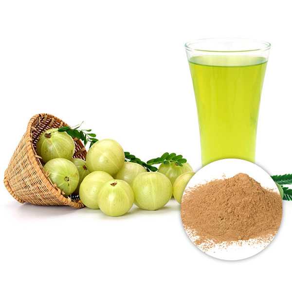 USDA Approved Bulk Organic Amla Extract Powder Supplier In USA