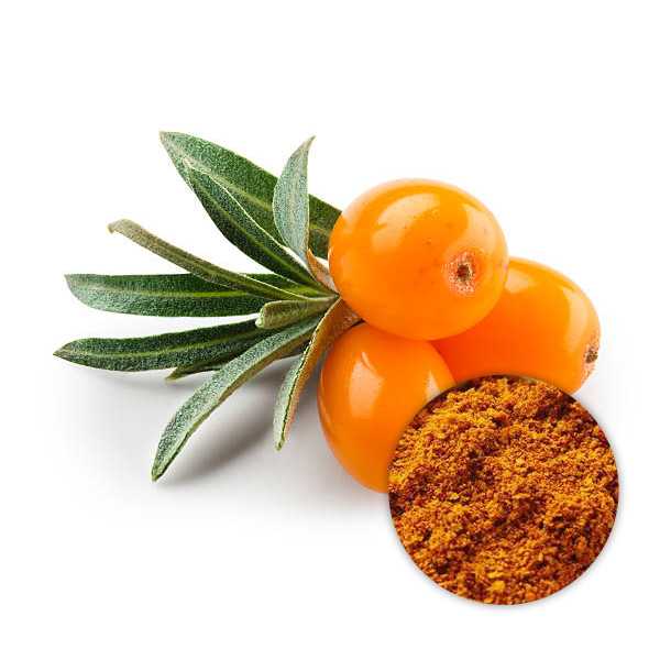 Usda Approved Bulk Organic Seabuckthorn Powder Supplier In Usa